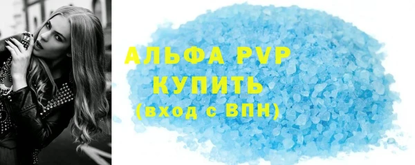 круглые Гусев