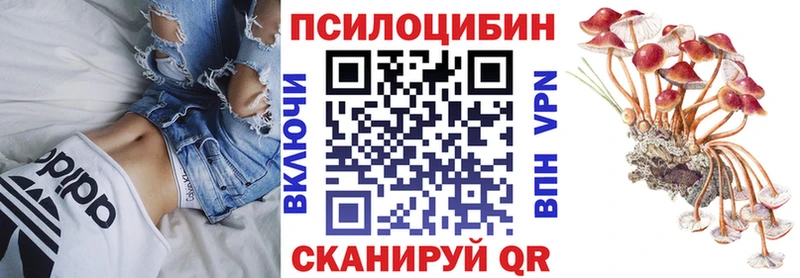 Галлюциногенные грибы мухоморы  Малоярославец 
